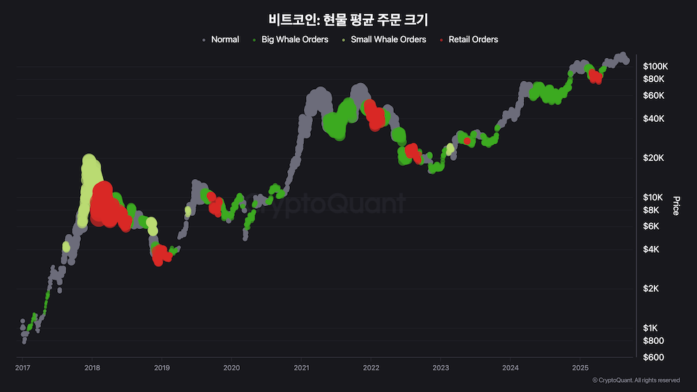 비트코인 현물 평균 주문 크기